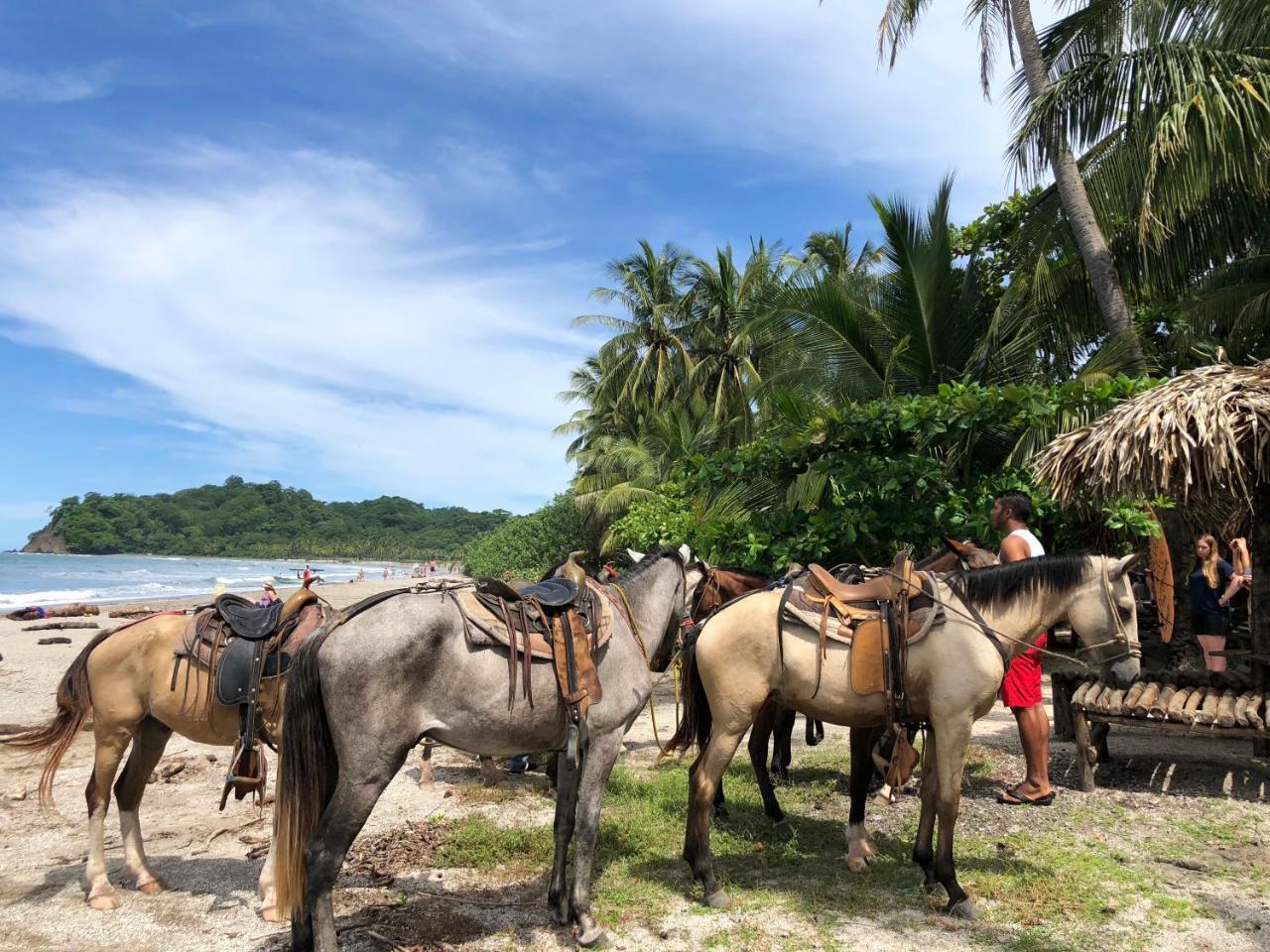 Macao Beach Sámara Eksteriør bilde