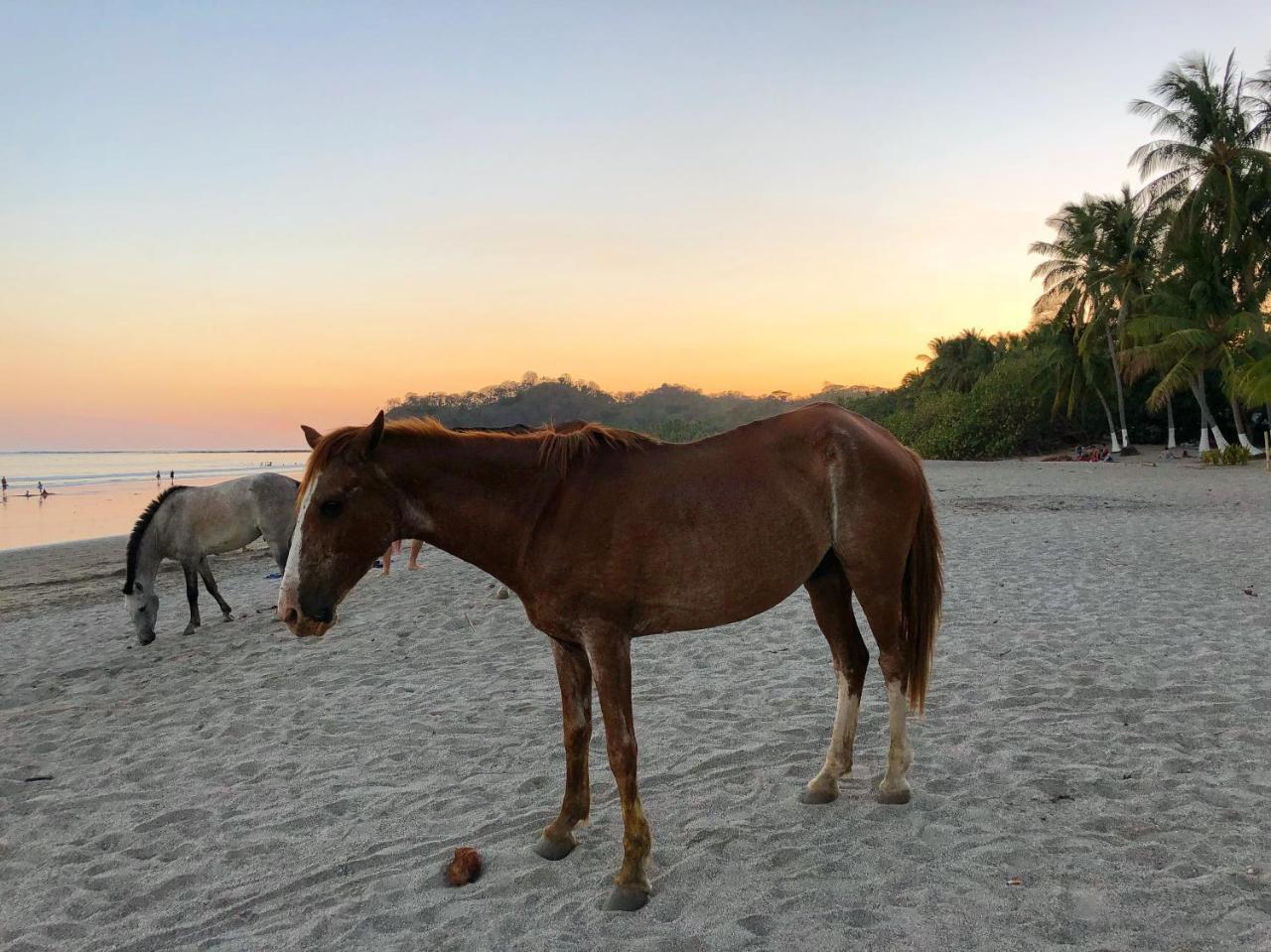 Macao Beach Sámara Eksteriør bilde
