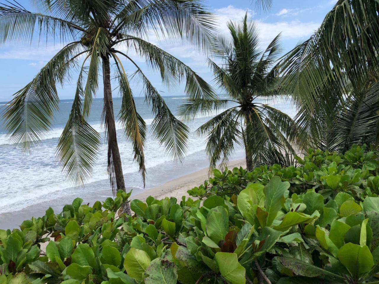 Macao Beach Sámara Eksteriør bilde